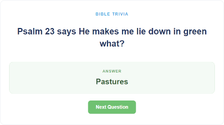 Bible Trivia Game Preview